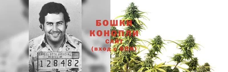 Бошки марихуана THC 21%  Нахабино 